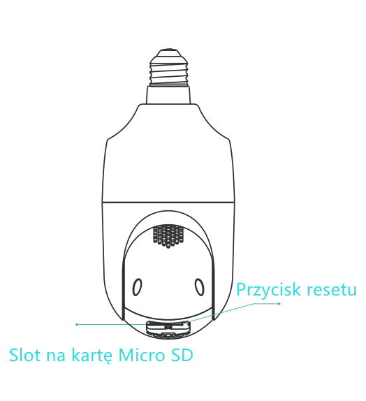 DP1_PL.png