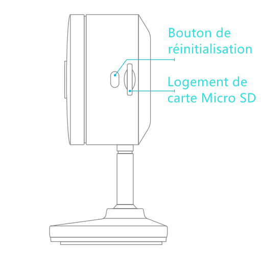 CK1_FR.png